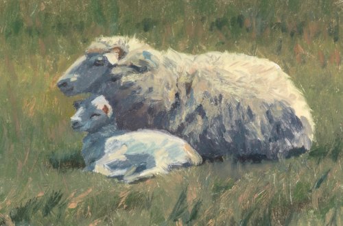 Chilmark Sheep © Marjorie Mason